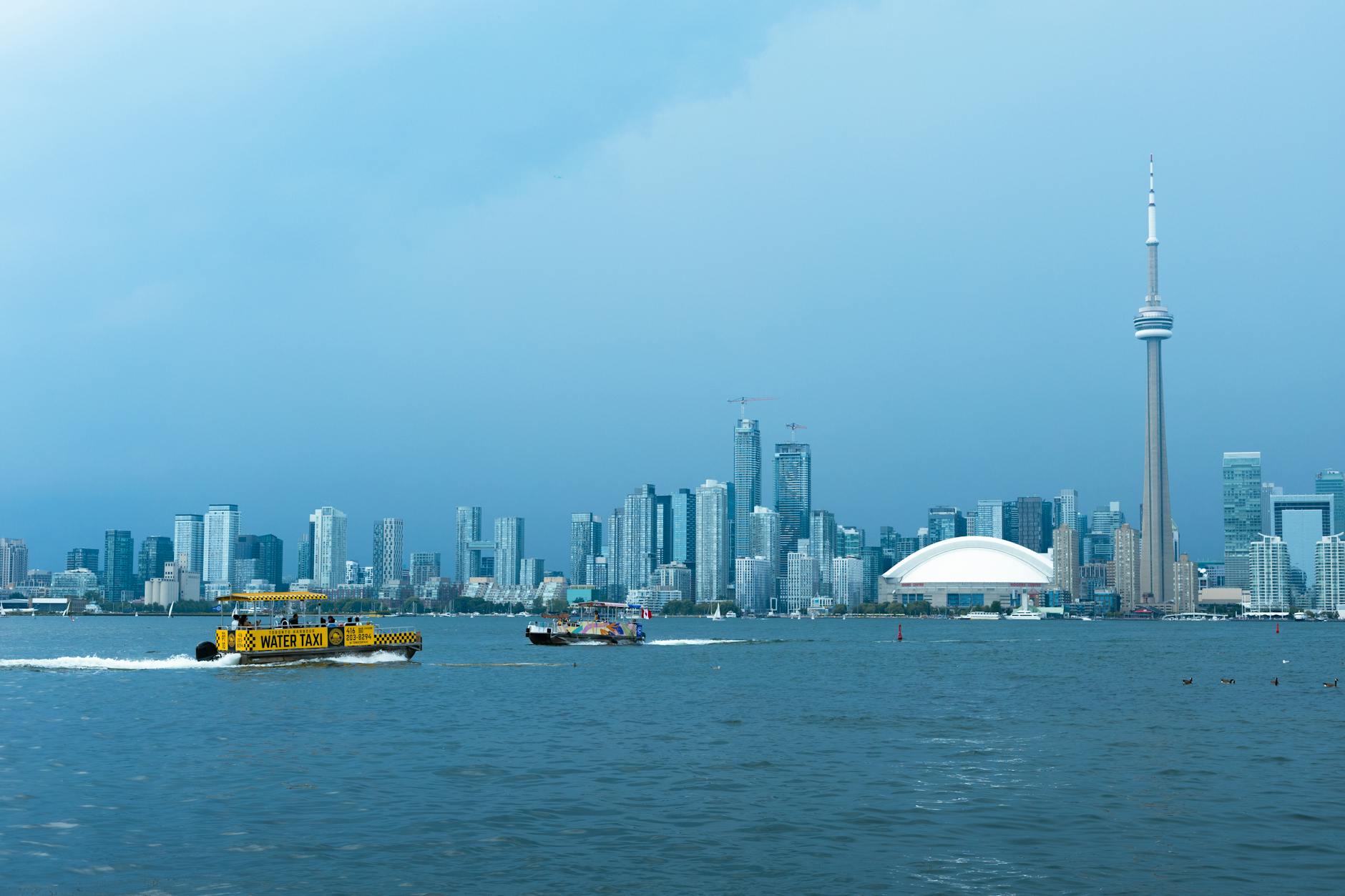 加拿大父母团聚移民：抽签 vs 超级签证 + 真实成功率